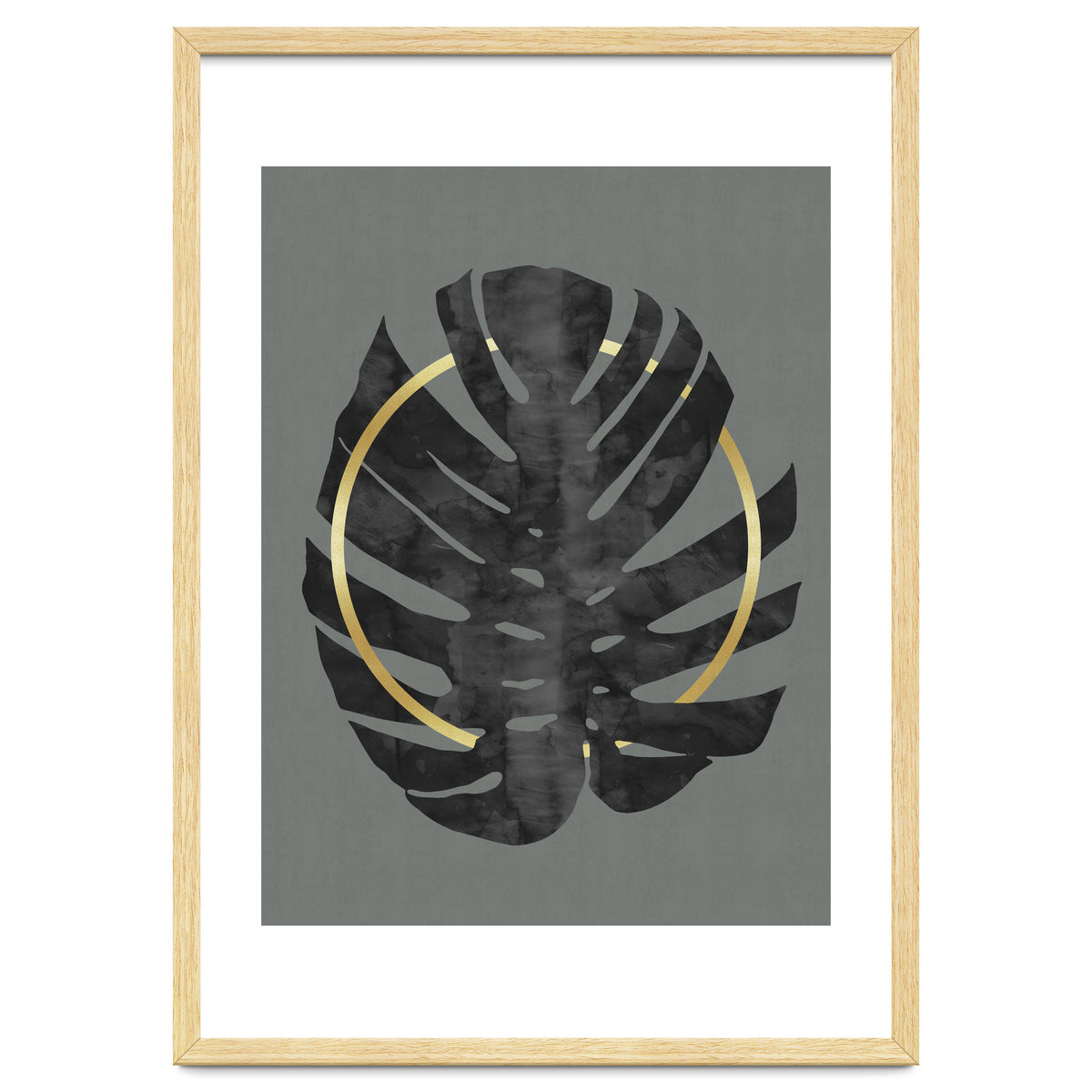 Monstera Deliciosa I