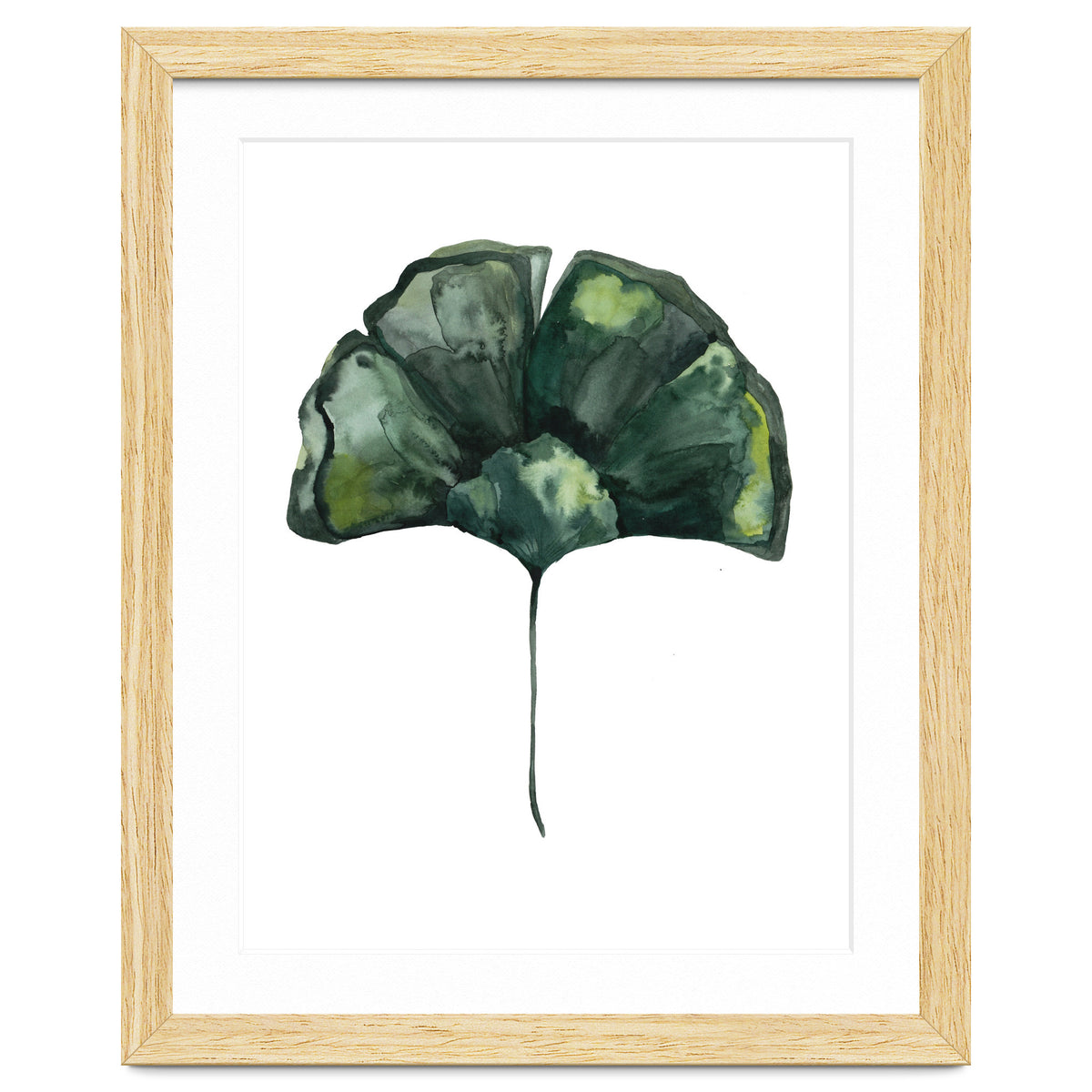 Botanical Illustration Ginko