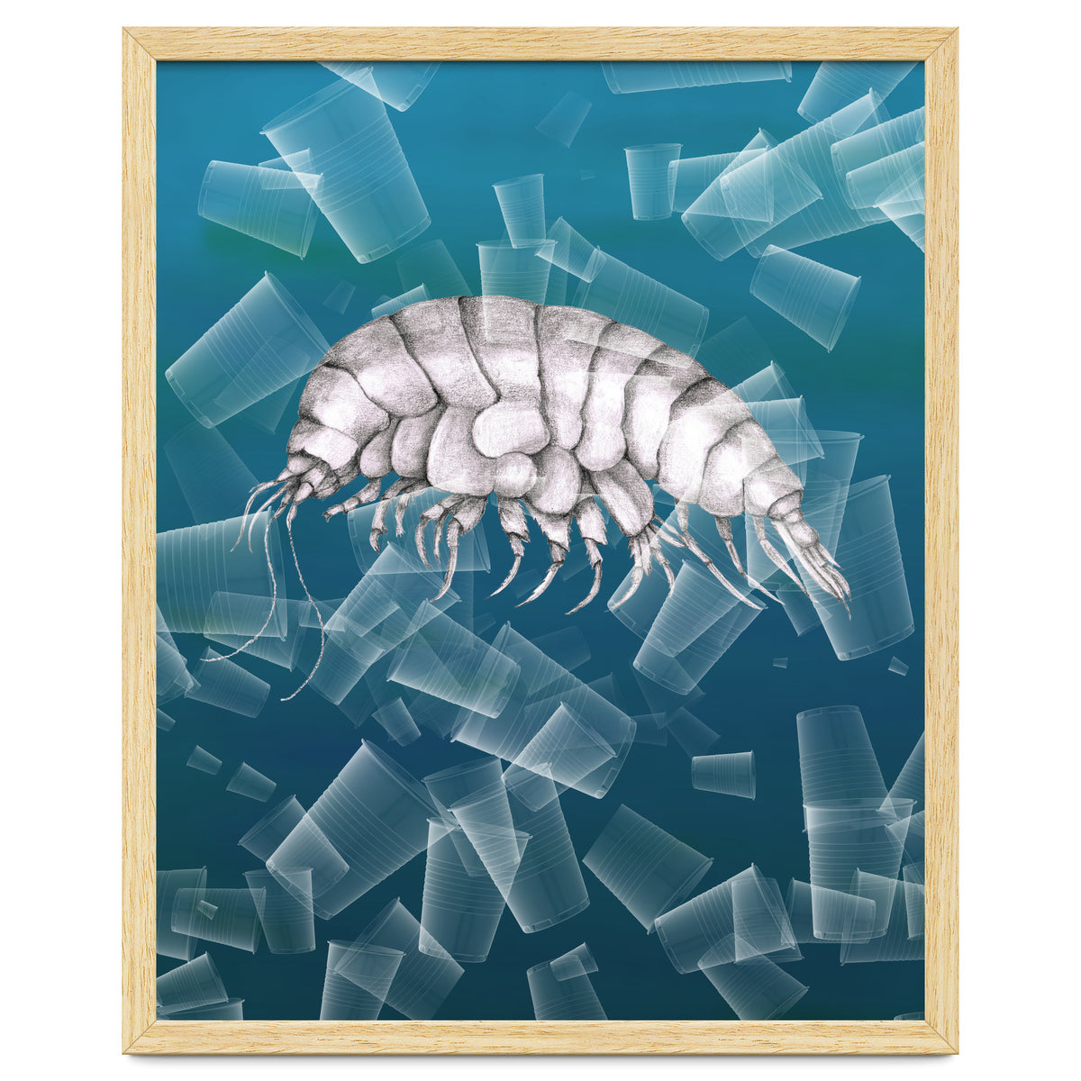 Eurythenes Plasticus