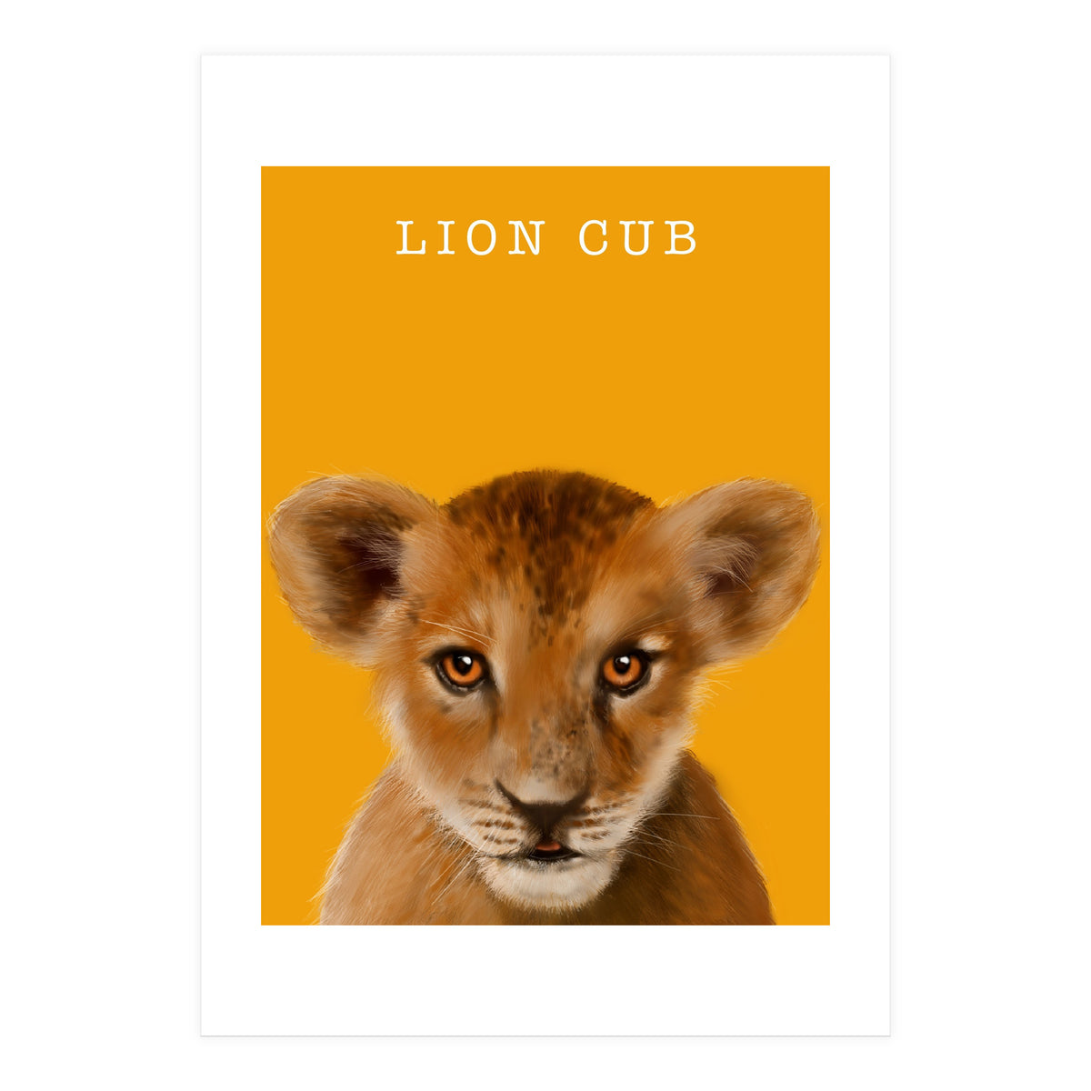 Lion Cub (Print Only)