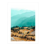 Delight Ii (Print Only) thumbnail