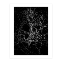 Spiderweb No 4 (Print Only)