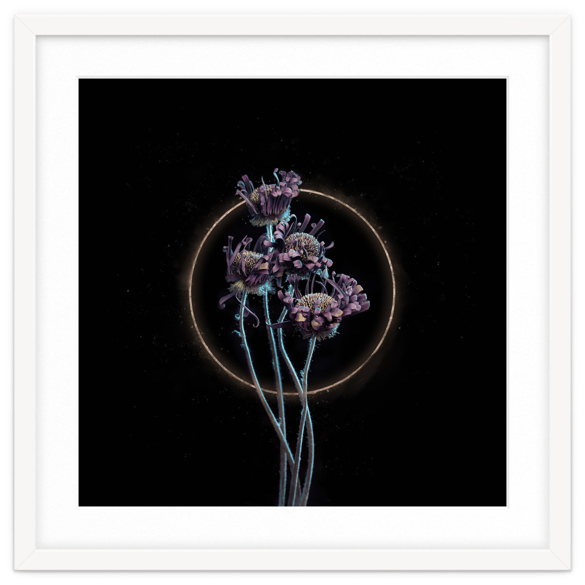 Candy-Coloured Mystery