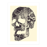 Ancestors (Print Only) thumbnail