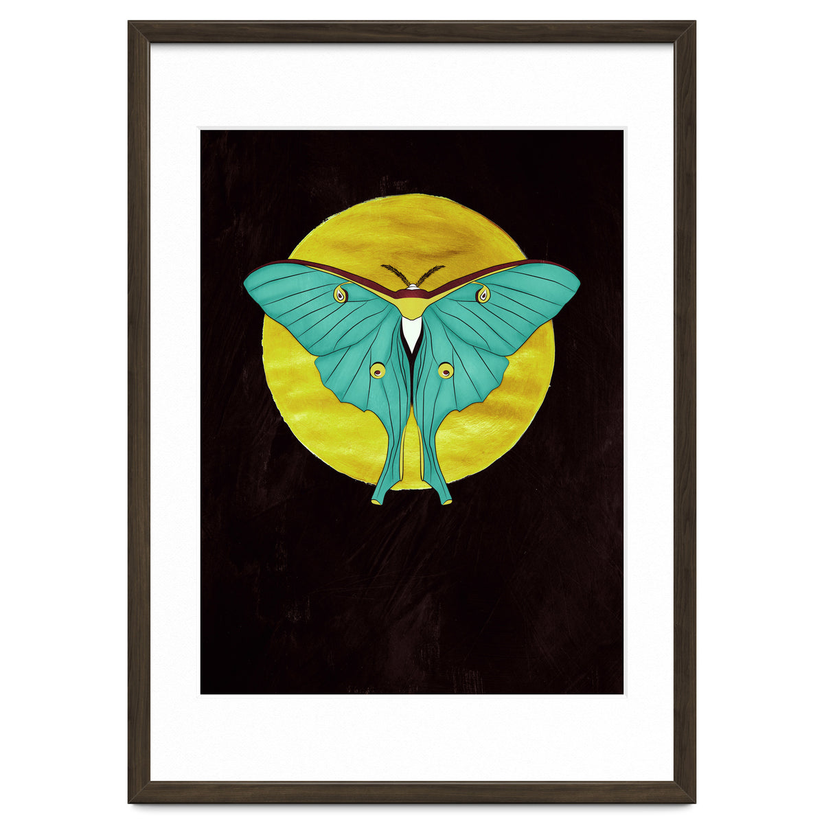 Luna Moth Moon