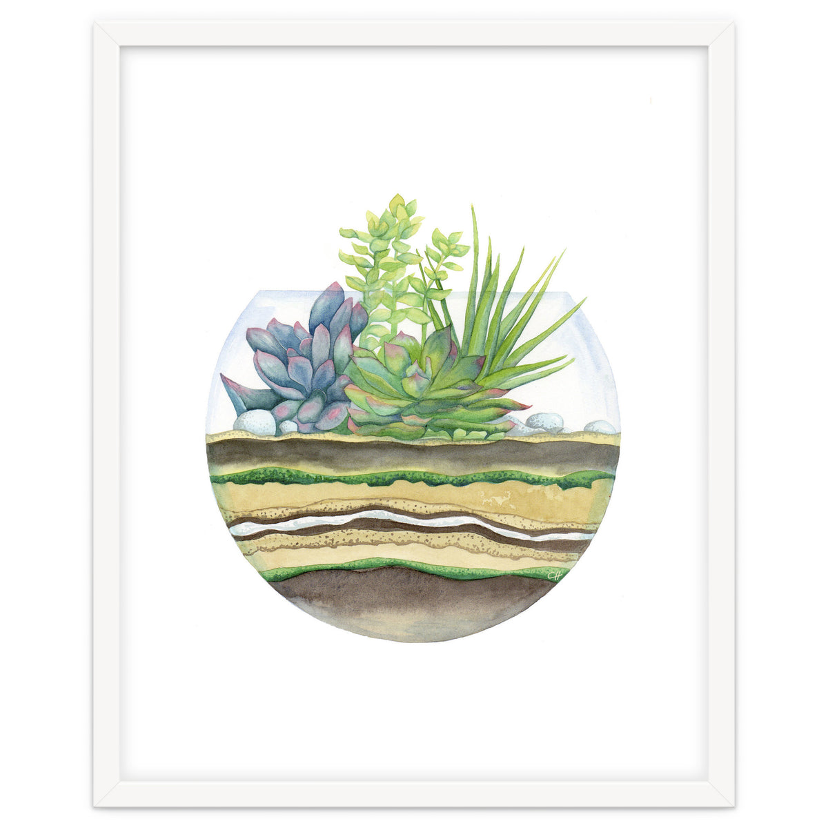 A Little Green Terrarium