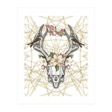 Boho Skull (Print Only) thumbnail