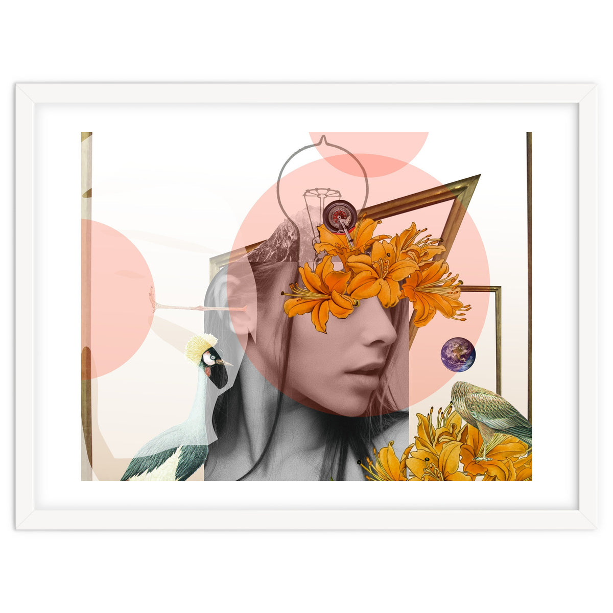 Dreamland Division · D