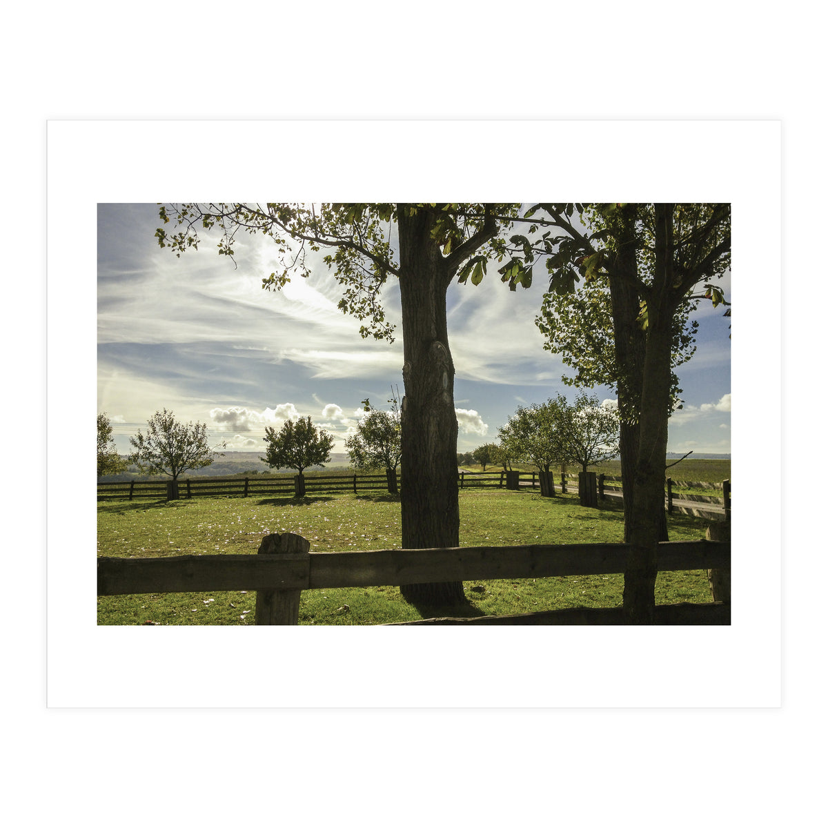 Bucolism 2 (Print Only)