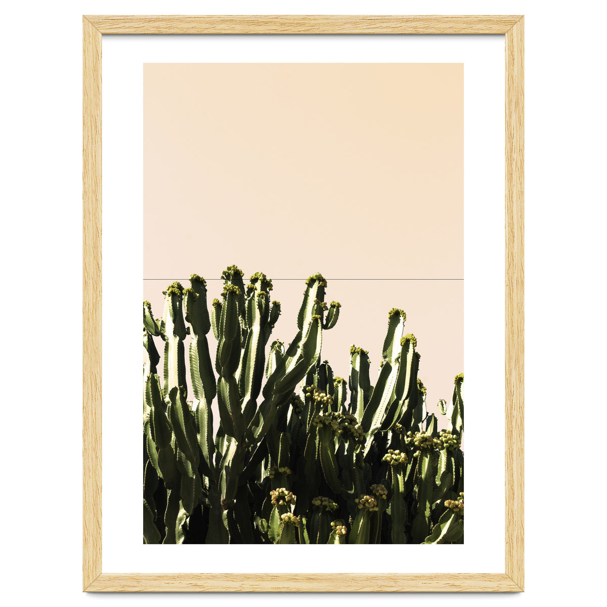 Cactus Vertical Color