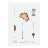 Botanical Notes (Print Only) thumbnail