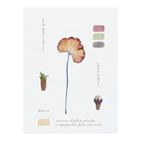 Botanical Notes (Print Only)