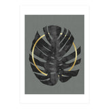 Monstera Deliciosa I (Print Only) thumbnail