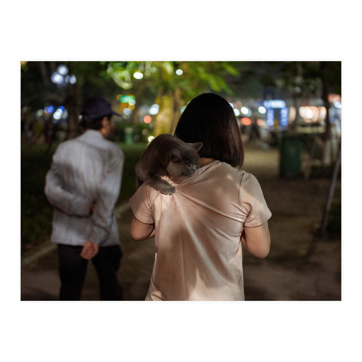 Cats of Vietnam (Print Only)