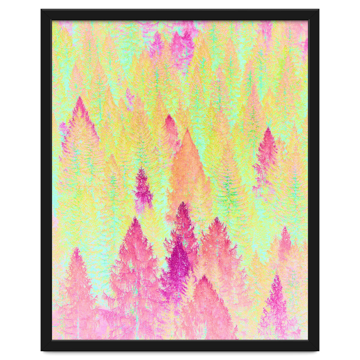 Painted Forest
