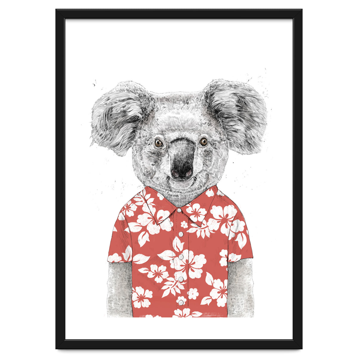 Summer Koala