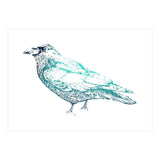 Teal Raven (Print Only) thumbnail