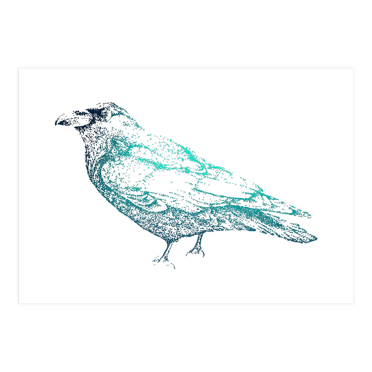 Teal Raven (Print Only)