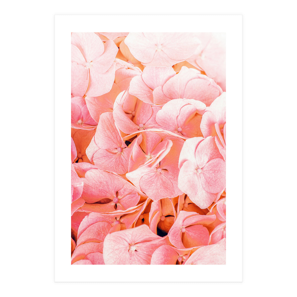 Blushing (Print Only)