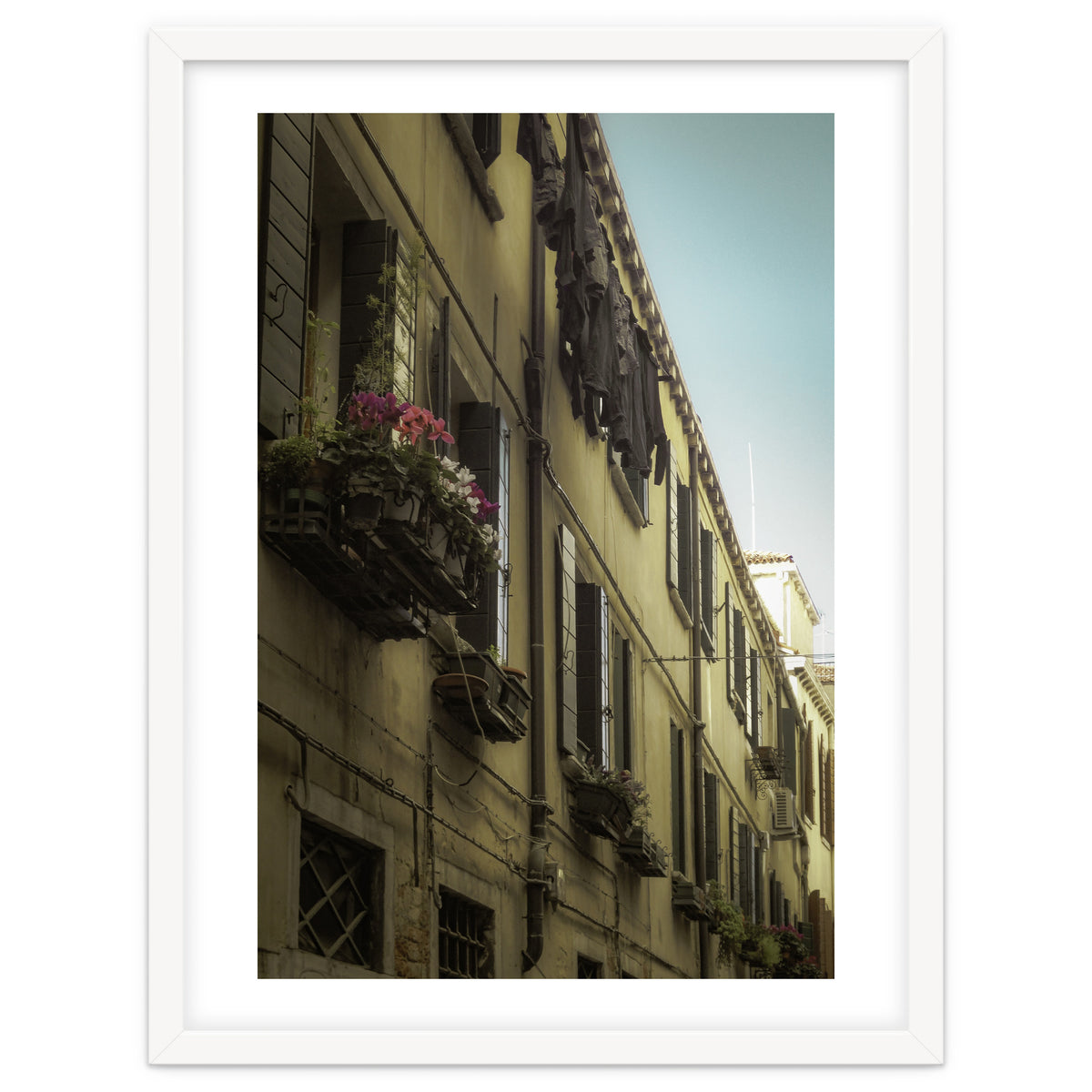 Windows From Tuscany 1