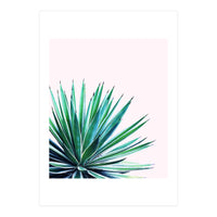 Agave Love (Print Only)