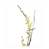Flower Minimal Black And Gold 06 (Print Only) thumbnail