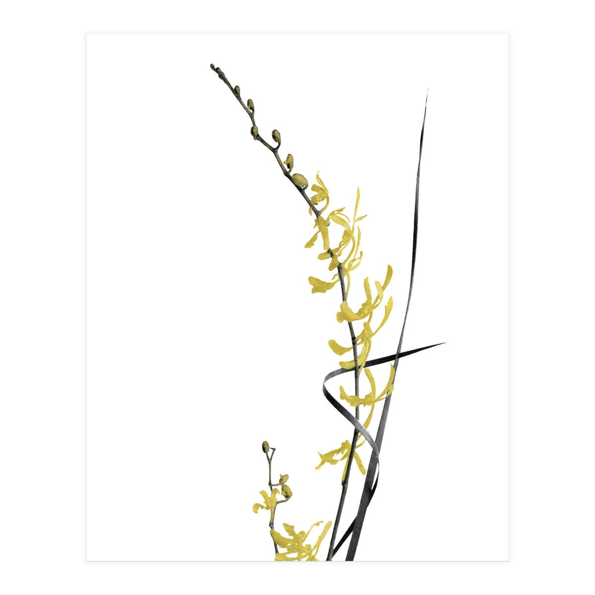 Flower Minimal Black And Gold 06 (Print Only)