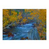 Nature (Print Only) thumbnail
