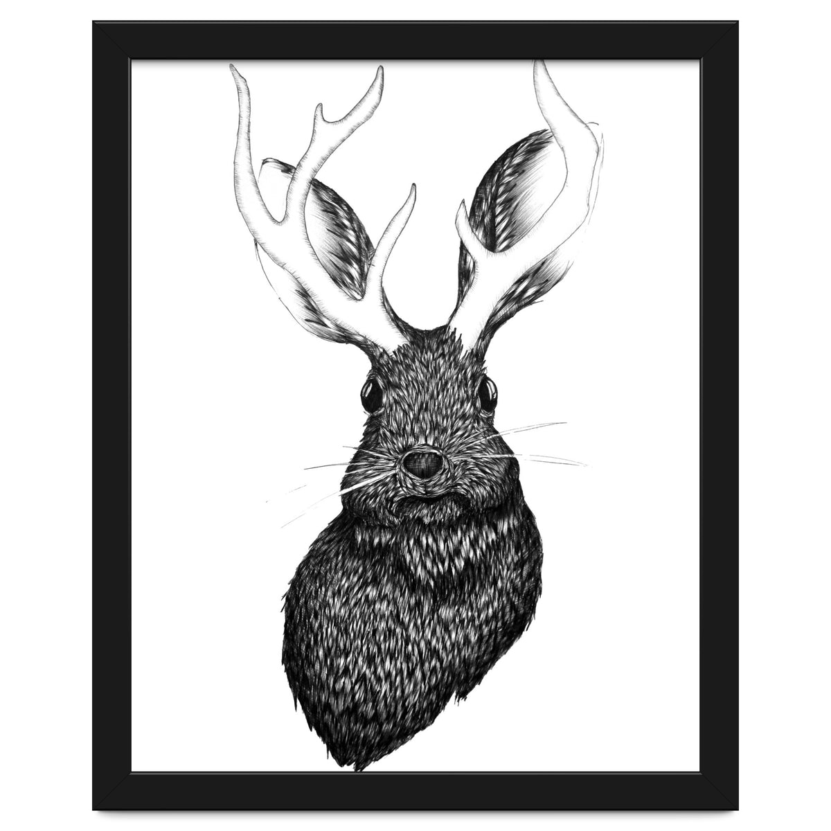 Jackalope