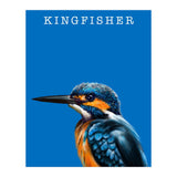 Kingfisher (Print Only) thumbnail