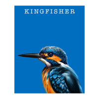 Kingfisher (Print Only)