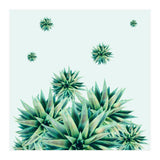 Tropical Stars (Print Only) thumbnail