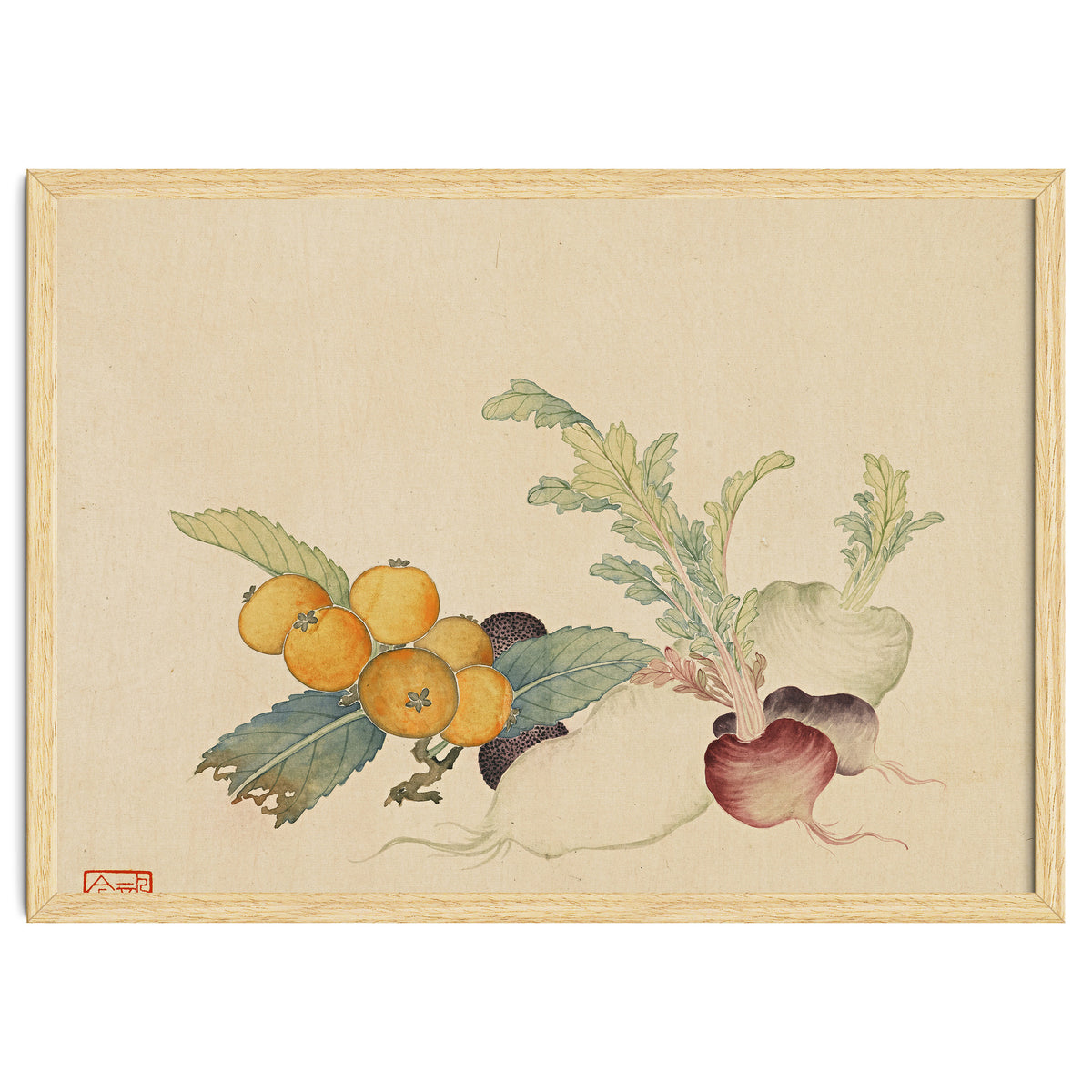 Wang Chengpi~flowers And Vegetables, Vegetables, Fruits, Loquat, White Radish, Carrot, Radish