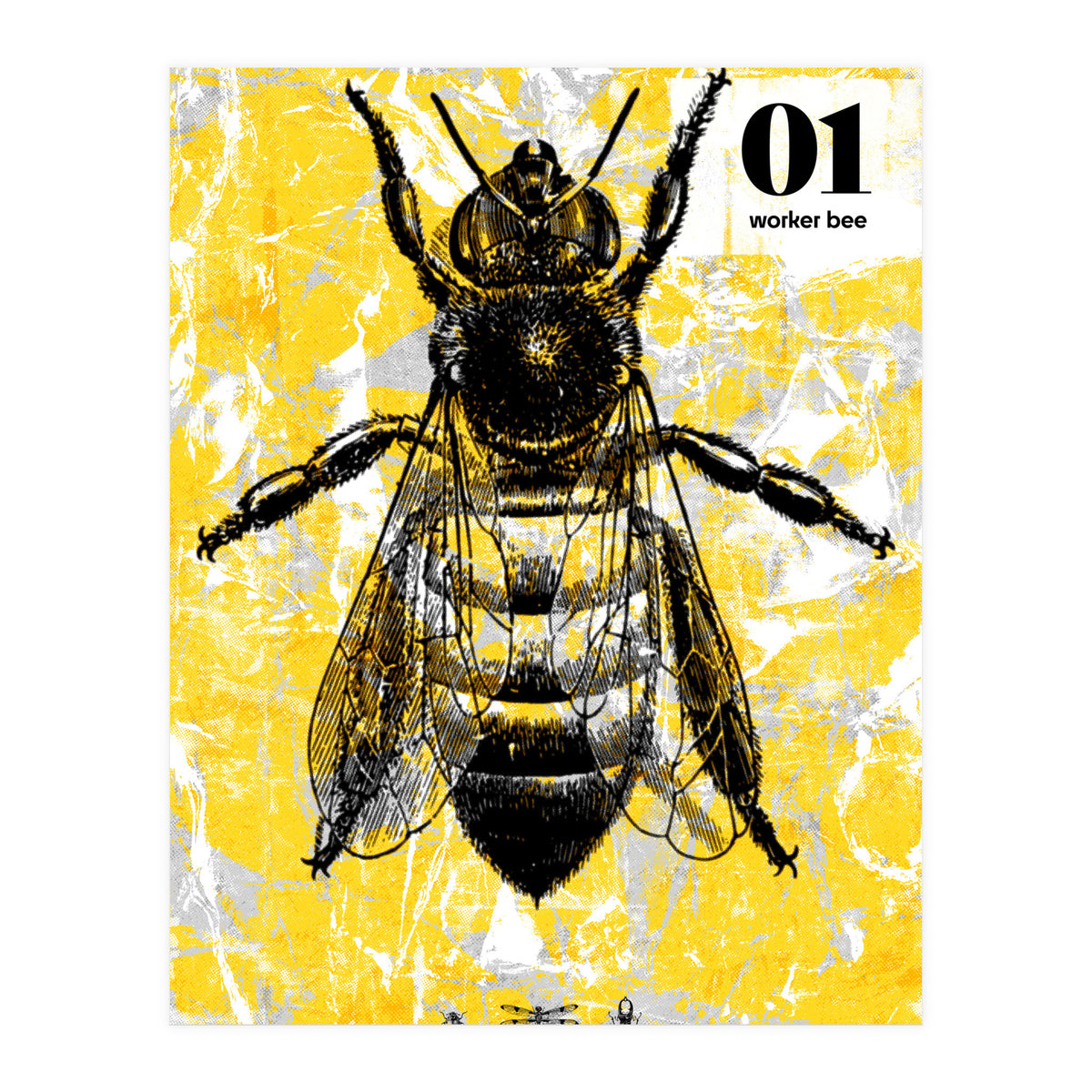 Bugs 1  (Print Only)