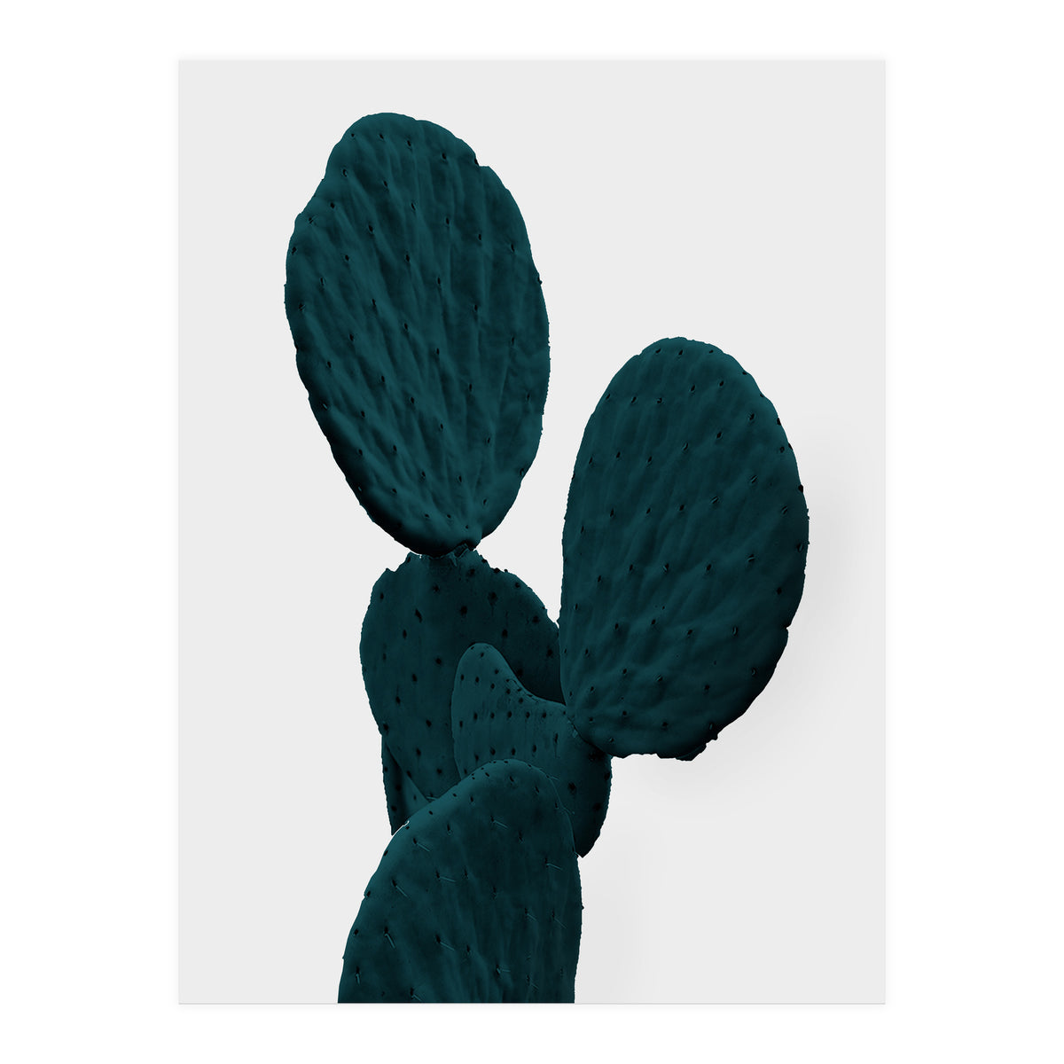 Cactus Art (Print Only)