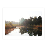 Bog (Print Only) thumbnail