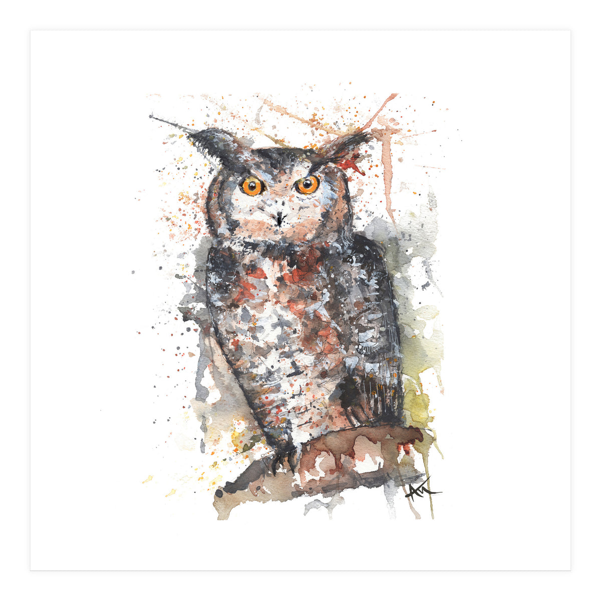Owl - Wildlife Collection (Print Only)