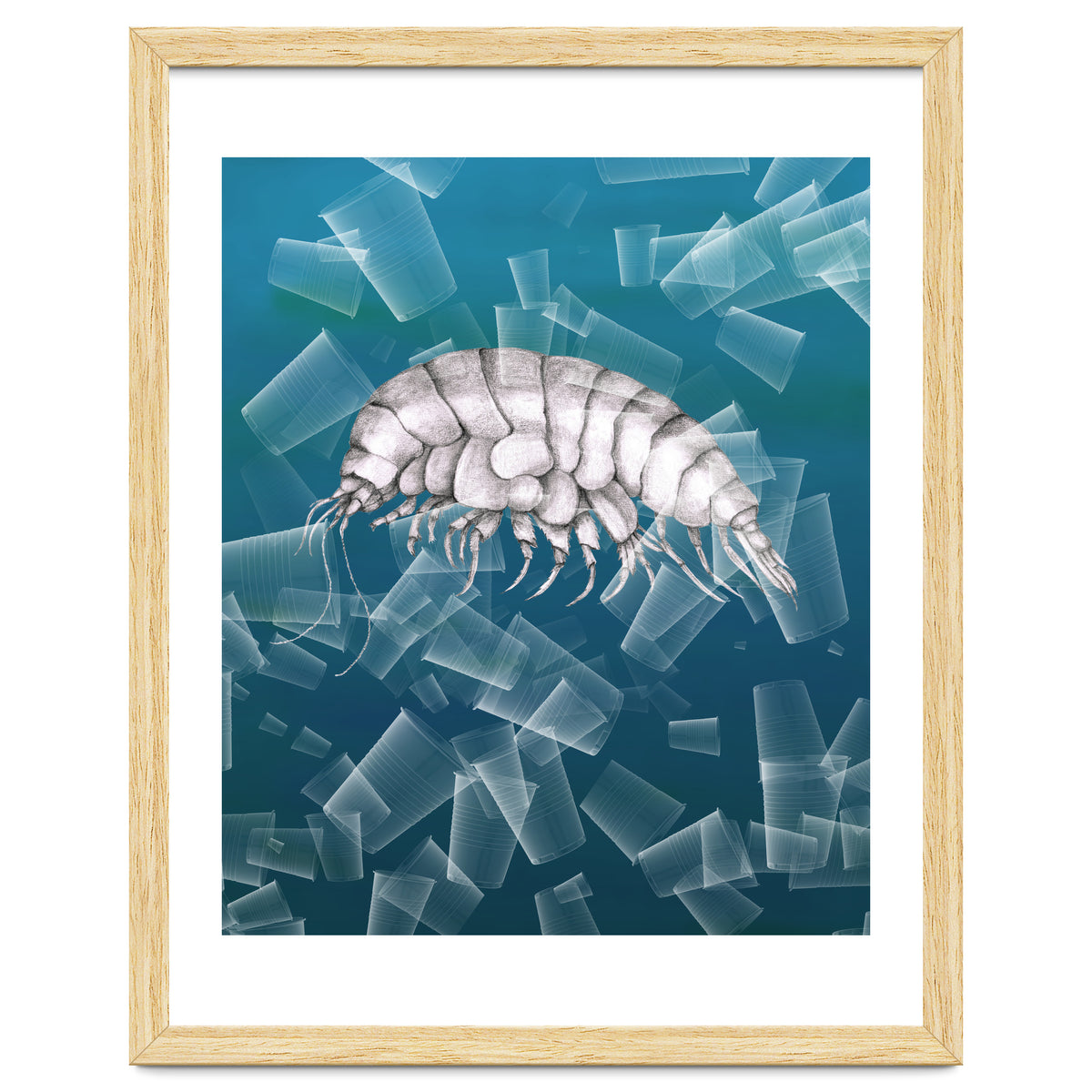 Eurythenes Plasticus