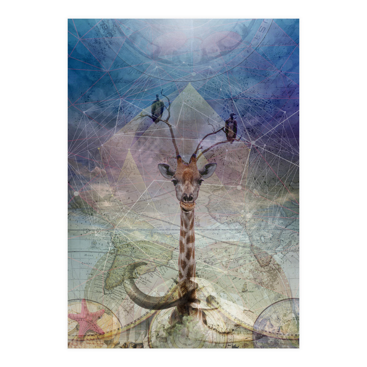 Warning (Print Only)