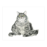 Fatcatred (Print Only) thumbnail