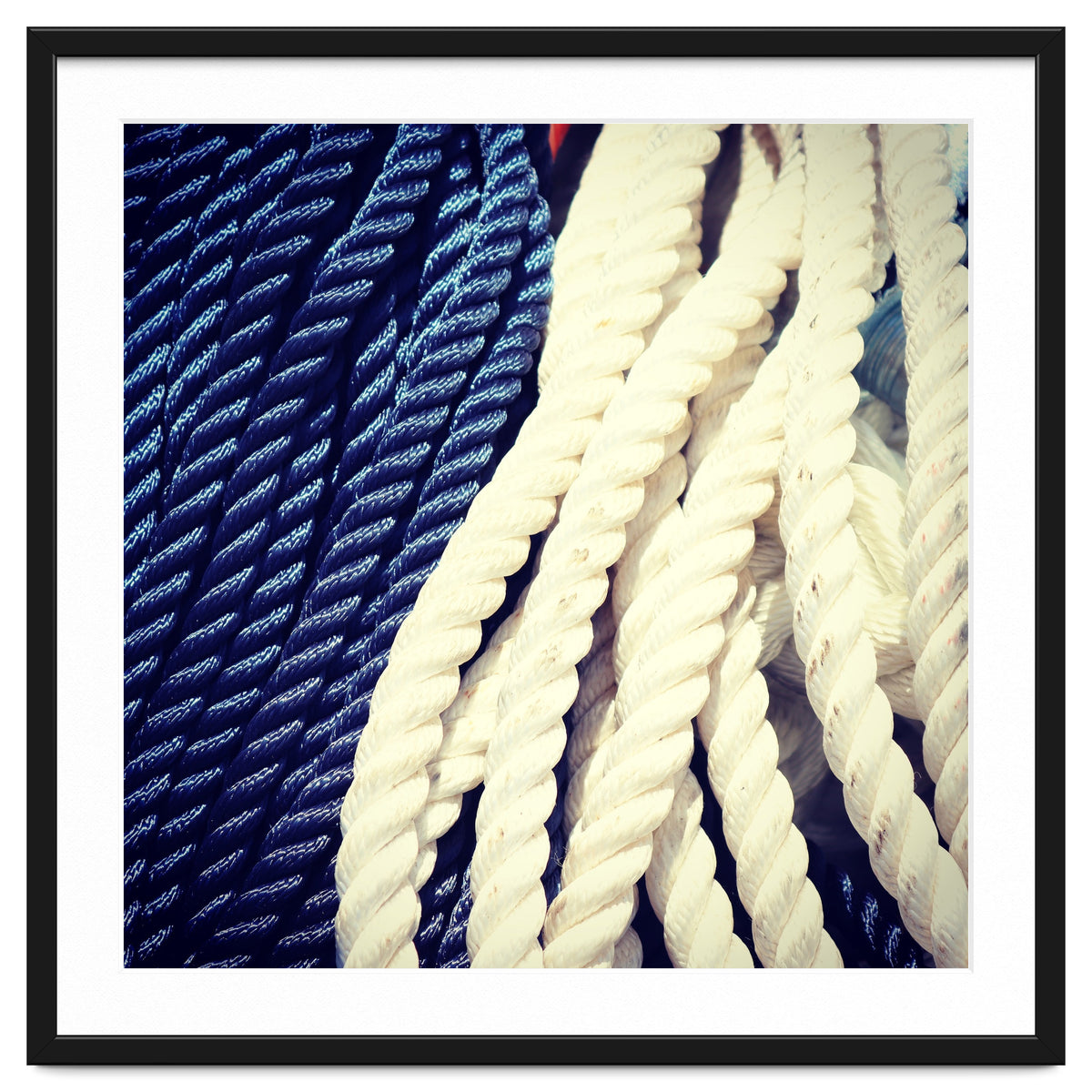 Blue and white fishing rope
