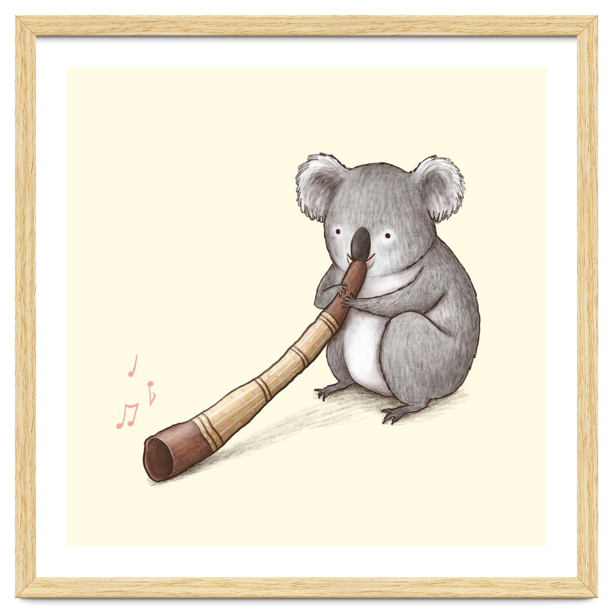 Koala Playing a Didgeridoo
