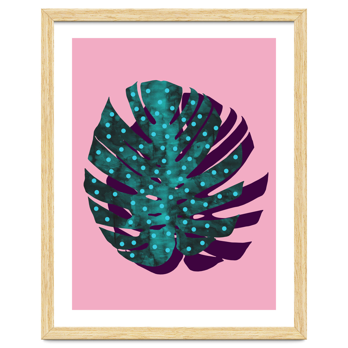 Monstera Deliciosa II