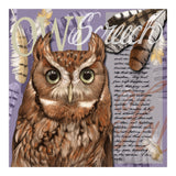 Screech Owl (Print Only) thumbnail