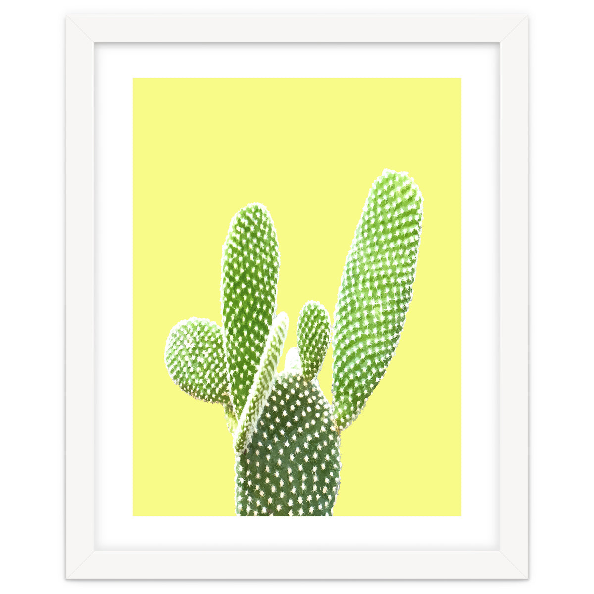 Cactus Yellow Background