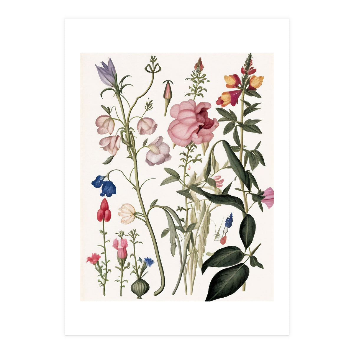 Flowers Botanical Vintage Illustration (Print Only)