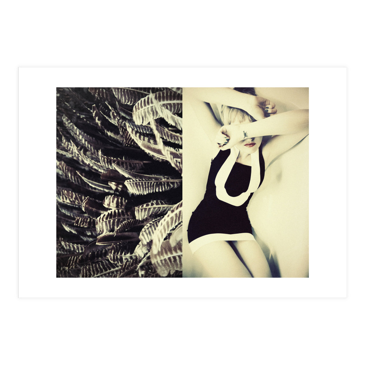 Featherish (Print Only)