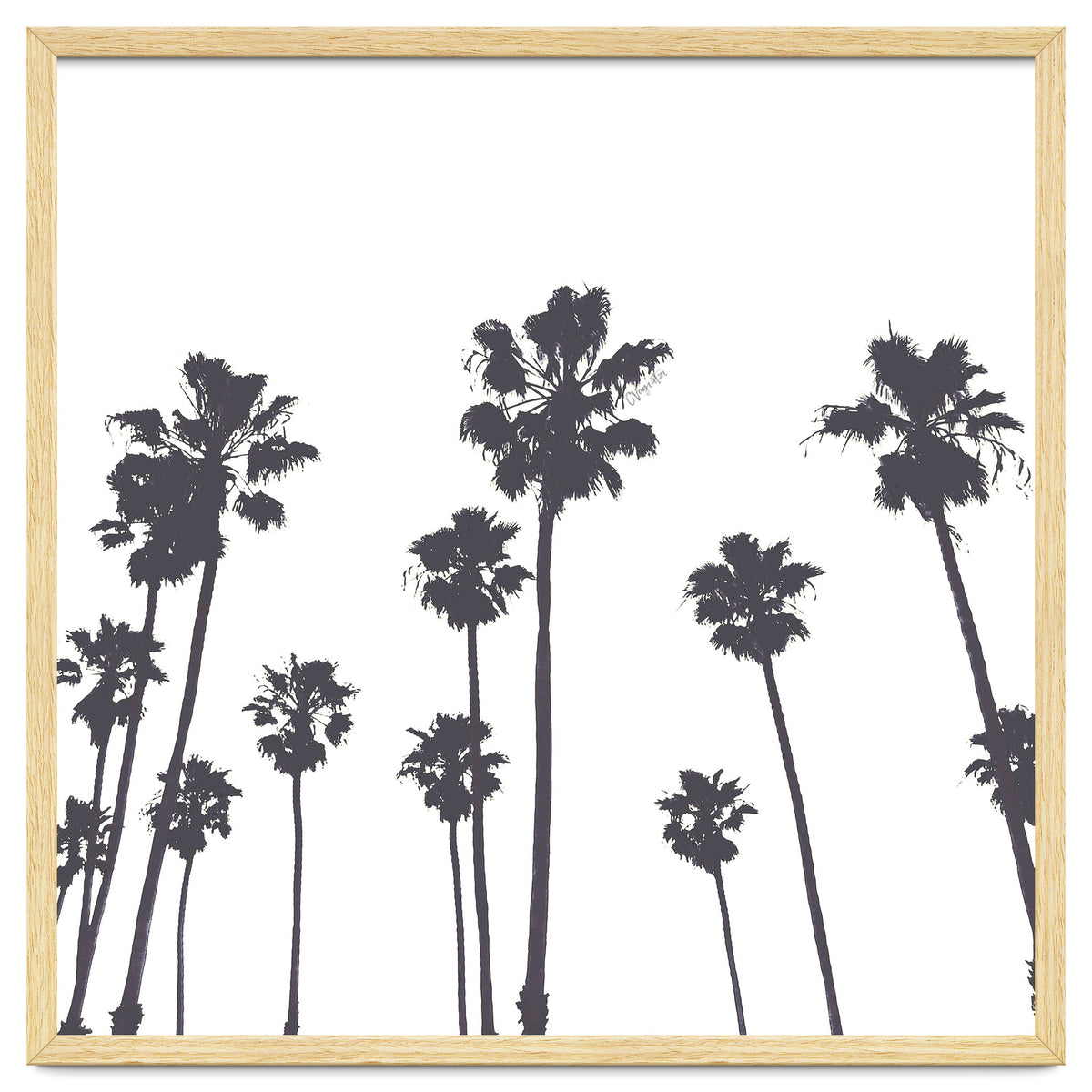 Palms & Sunset-Minimal B&W