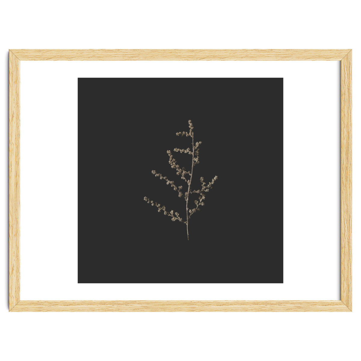 Dainty Botanicals in Gold and Black - Square