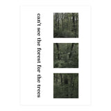 can’t see the forest for the trees (Print Only) thumbnail